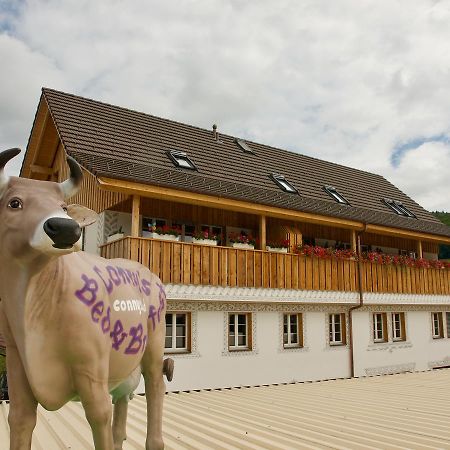 Conny'S B&B Niederweningen Buitenkant foto